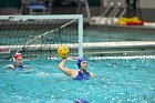 WWPolo vs CC  Wheaton College Women’s Water Polo compete in their sports inaugural match vs Connecticut College. - Photo By: KEITH NORDSTROM : Wheaton, water polo, inaugural